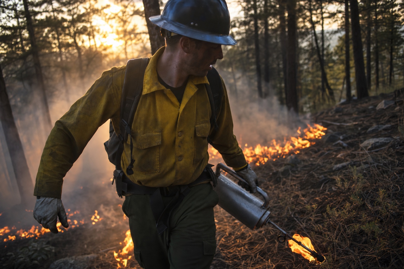 Can a Wildland Firefighter Make Money on the Side? What I Learned About the Rules